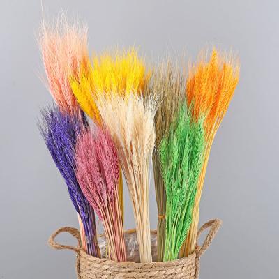 Dried Wheat Flower Home Decoration